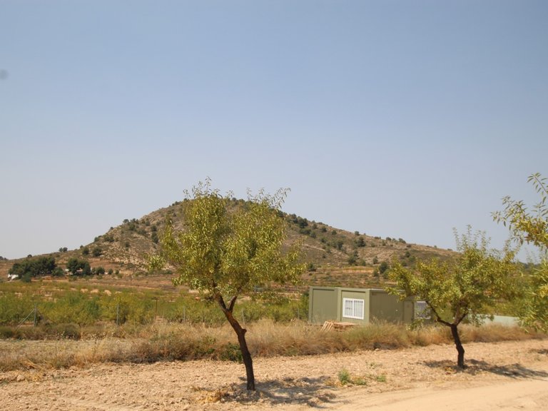 Villa for Sale in Pinoso, Alicante 26