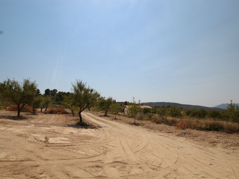Villa for Sale in Pinoso, Alicante 8