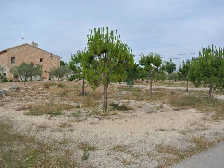 Town House for Sale in Pinoso, Alicante 11