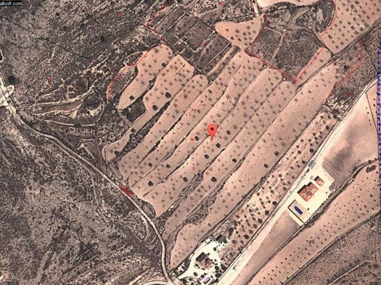 Plot for Sale in Jumilla, Murcia 3