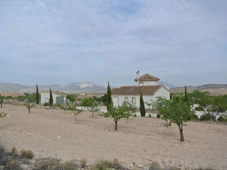 Plot for Sale in Jumilla, Murcia 5