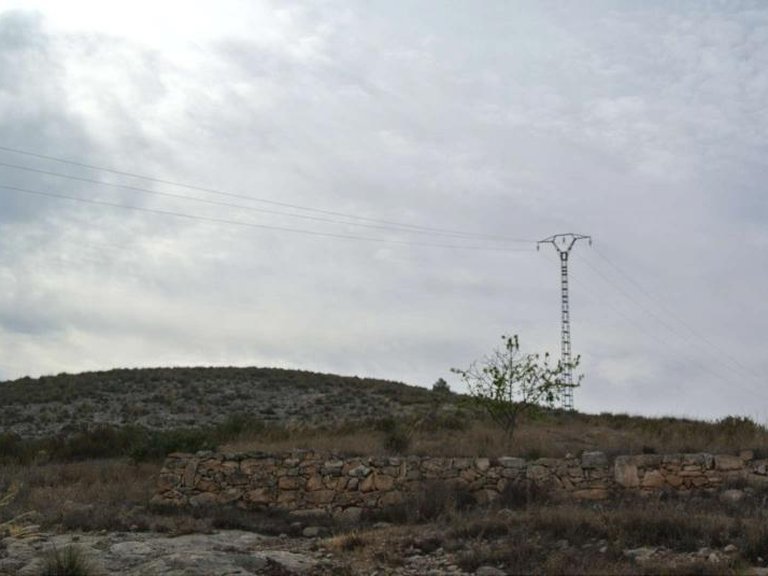 Plot for Sale in Jumilla, Murcia 8