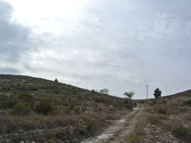 Plot for Sale in Jumilla, Murcia 12