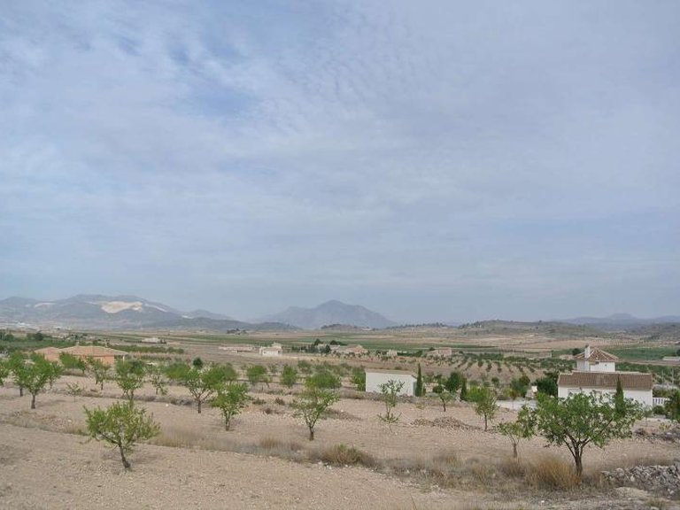 Plot for Sale in Jumilla, Murcia 13
