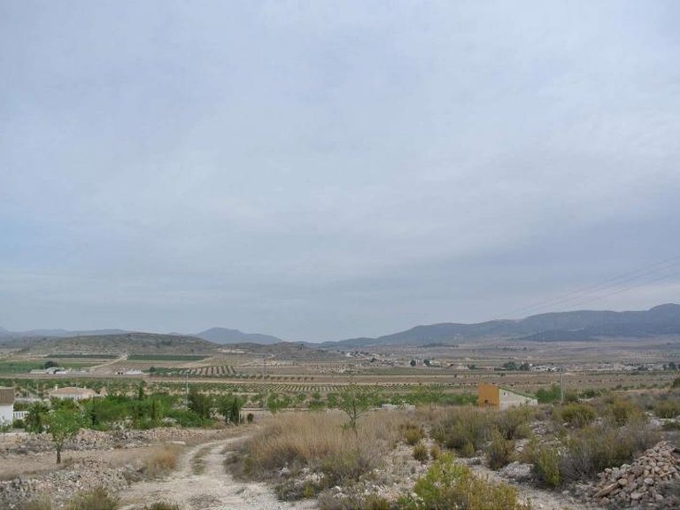 Plot for Sale in Jumilla, Murcia 14