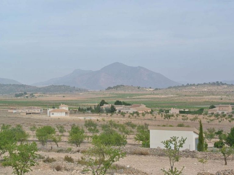 Plot for Sale in Jumilla, Murcia 15