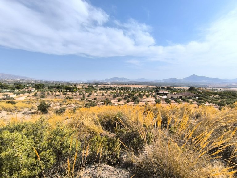 Plot for Sale in Sax, Alicante 1