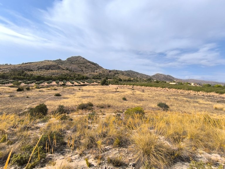 Plot for Sale in Sax, Alicante 2