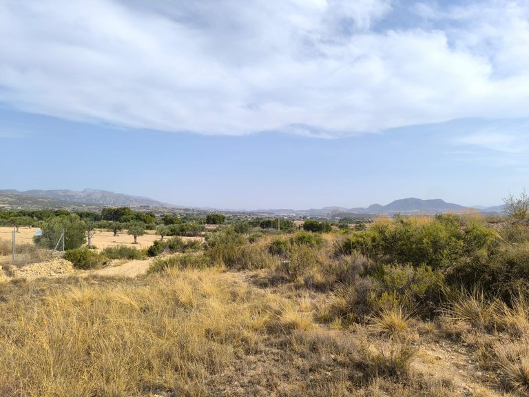 Plot for Sale in Sax, Alicante 3