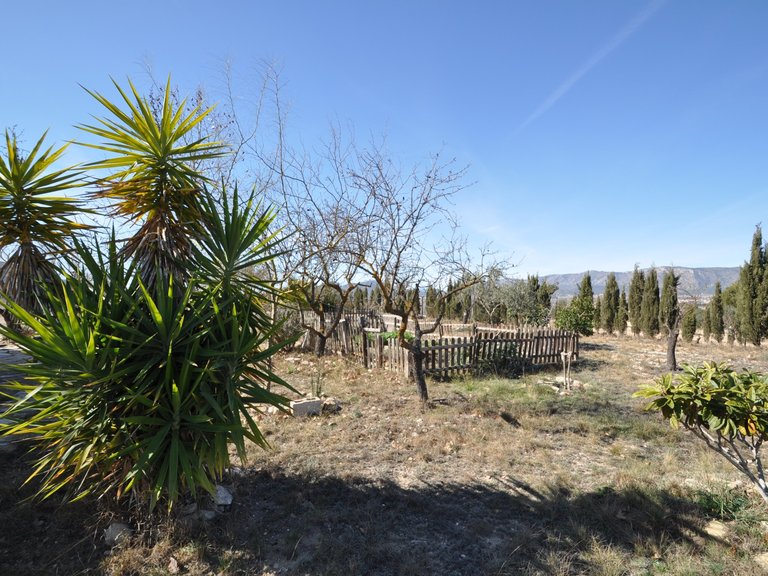Villa for Sale in Salinas, Alicante 15