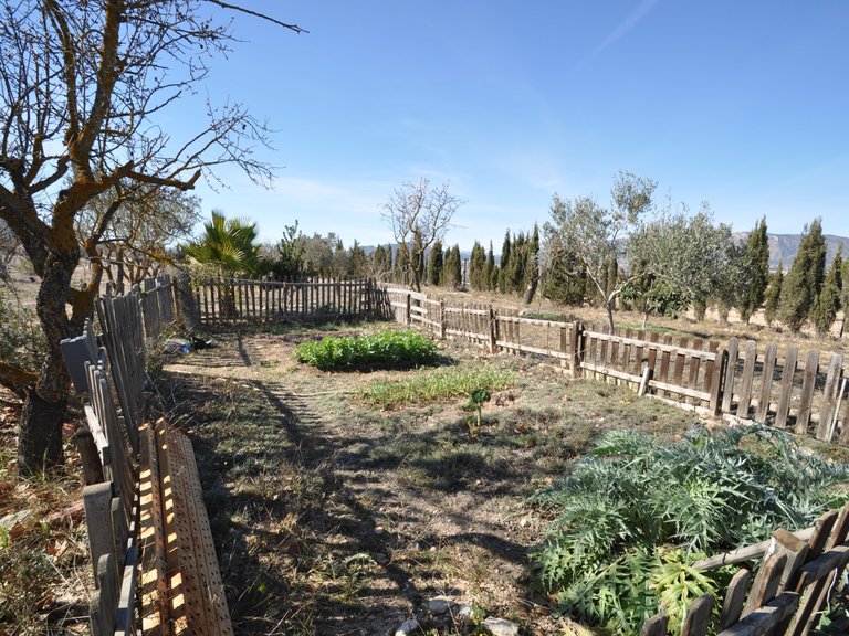Villa for Sale in Salinas, Alicante 16