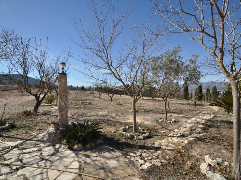 Villa for Sale in Salinas, Alicante 17