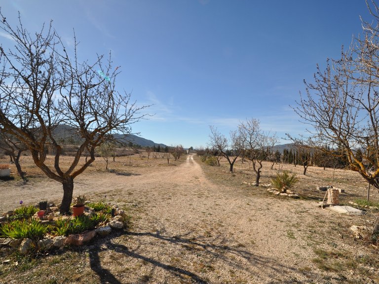 Villa for Sale in Salinas, Alicante 18