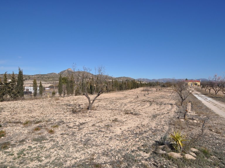 Villa for Sale in Salinas, Alicante 36