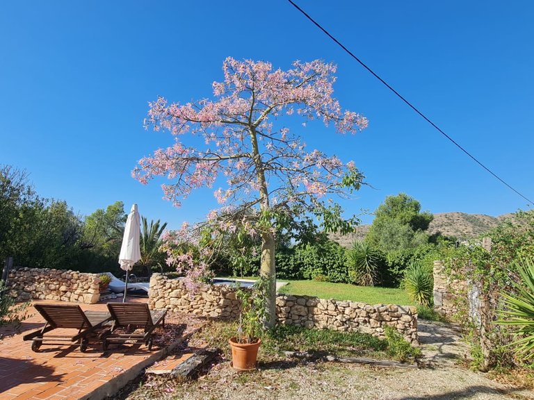 Villa for Sale in Monforte Del Cid, Alicante 22