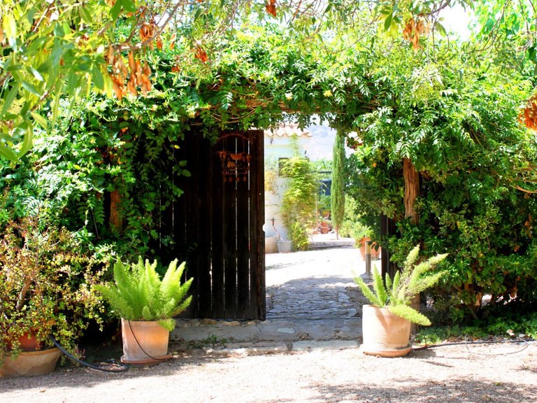 Villa for Sale in Monforte Del Cid, Alicante 24