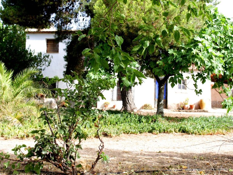 Villa for Sale in Monforte Del Cid, Alicante 28