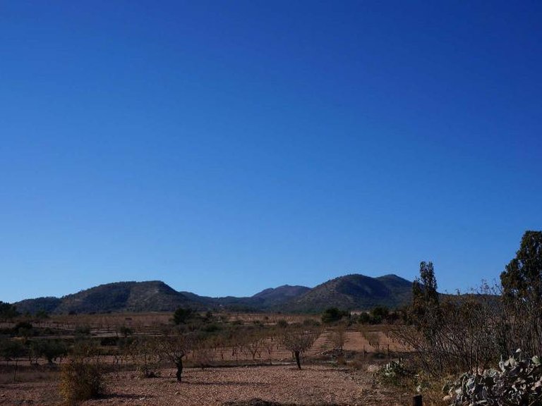 Country House for Sale in Raspay, Murcia 4