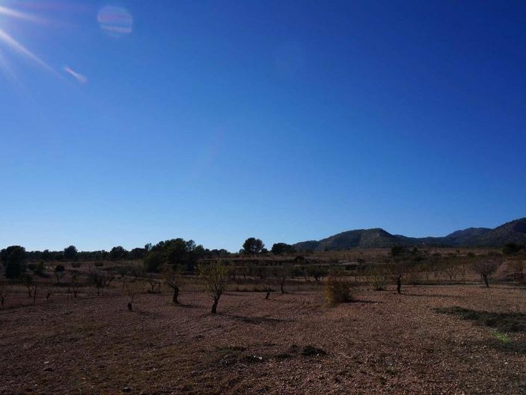 Country House for Sale in Raspay, Murcia 34