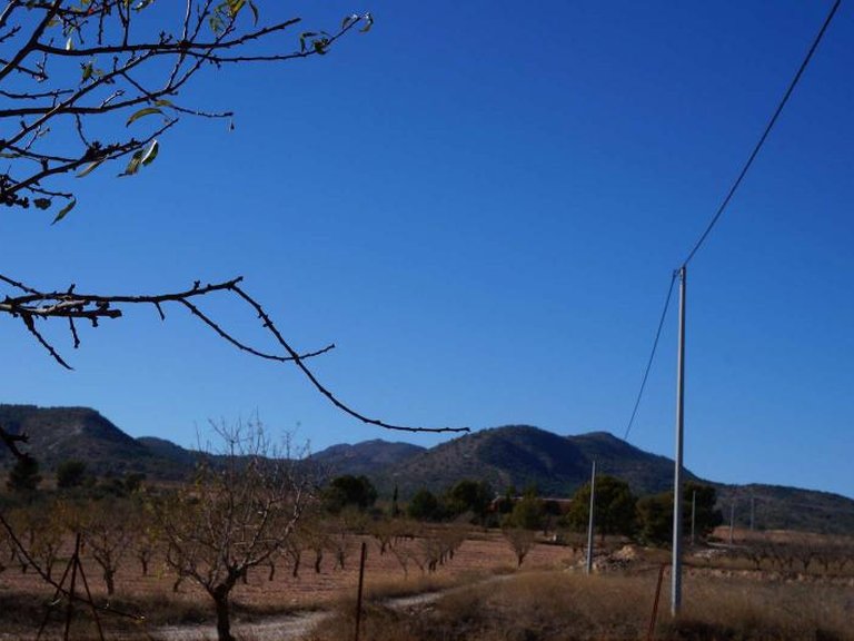 Country House for Sale in Raspay, Murcia 47