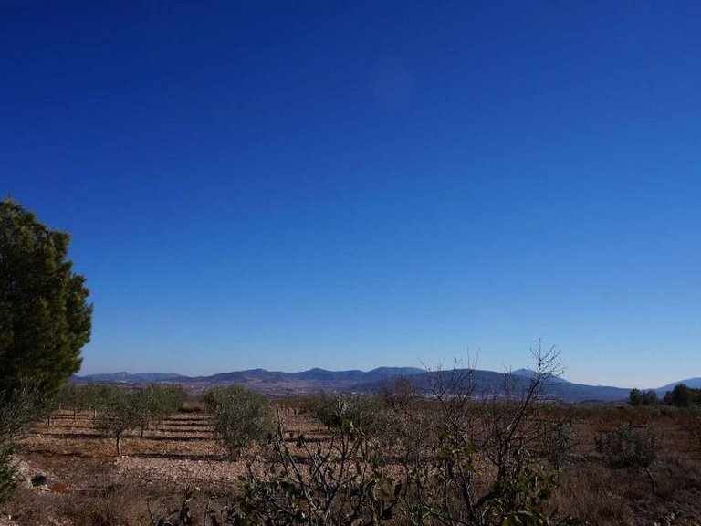 Country House for Sale in Raspay, Murcia 48