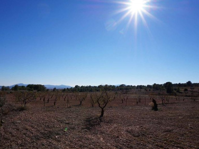 Country House for Sale in Raspay, Murcia 49
