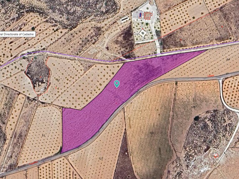 Plot for Sale in Pinoso, Alicante 1