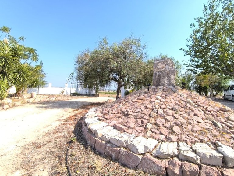 Villa for Sale in Novelda, Alicante 34