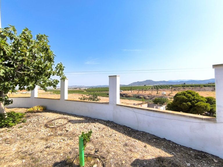 Villa for Sale in Novelda, Alicante 40