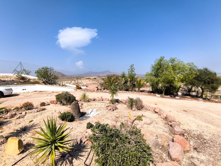 Villa for Sale in Novelda, Alicante 37