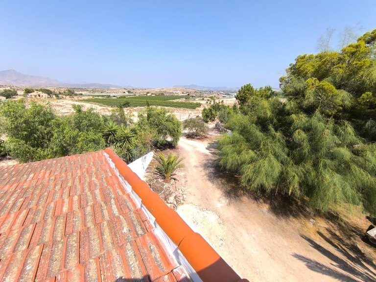 Villa for Sale in Novelda, Alicante 38