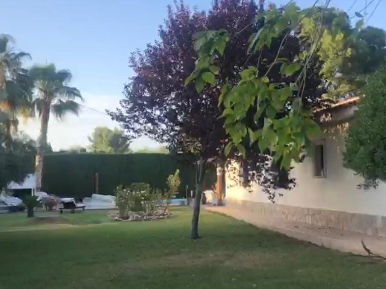 Villa for Sale in Elda, Alicante 45