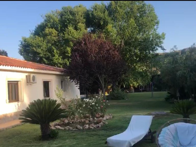 Villa for Sale in Elda, Alicante 46