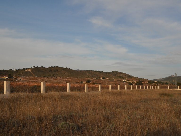 Plot for Sale in Canada De La Lena, Murcia 7