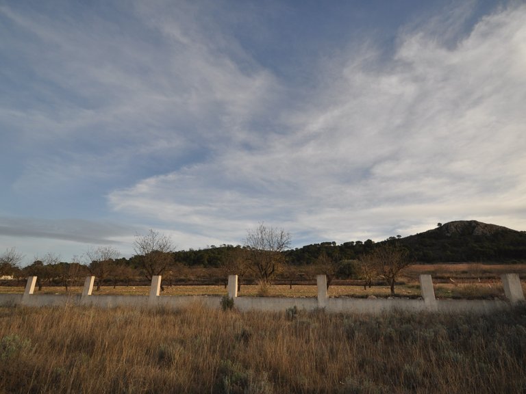 Plot for Sale in Canada De La Lena, Murcia 8