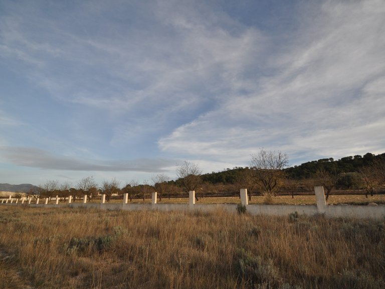 Plot for Sale in Canada De La Lena, Murcia 9