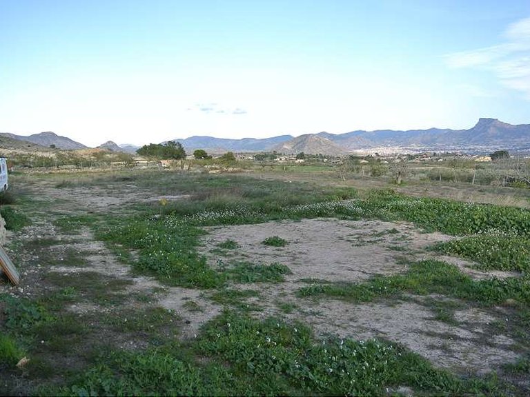 Country House for Sale in Monovar, Alicante 33