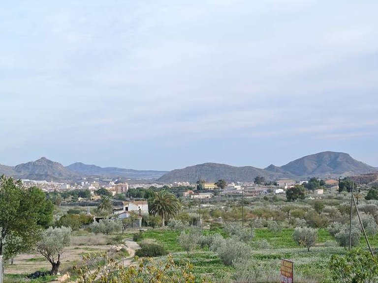 Country House for Sale in Monovar, Alicante 4