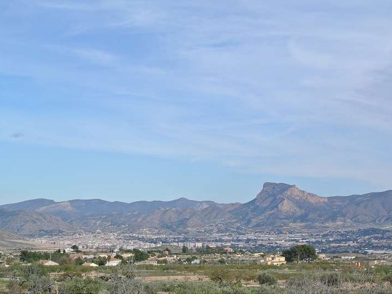 Country House for Sale in Monovar, Alicante 6