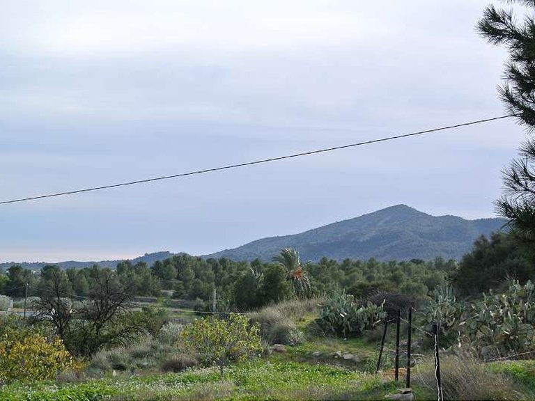 Country House for Sale in Monovar, Alicante 7