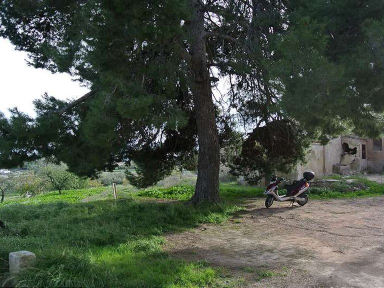 Country House for Sale in Monovar, Alicante 8