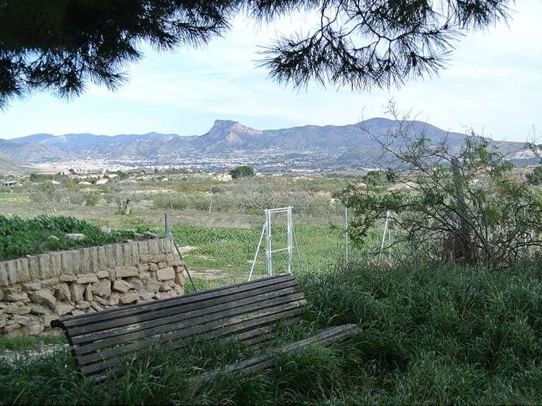Country House for Sale in Monovar, Alicante 9