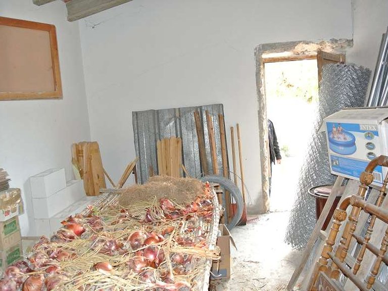 Country House for Sale in Monovar, Alicante 25