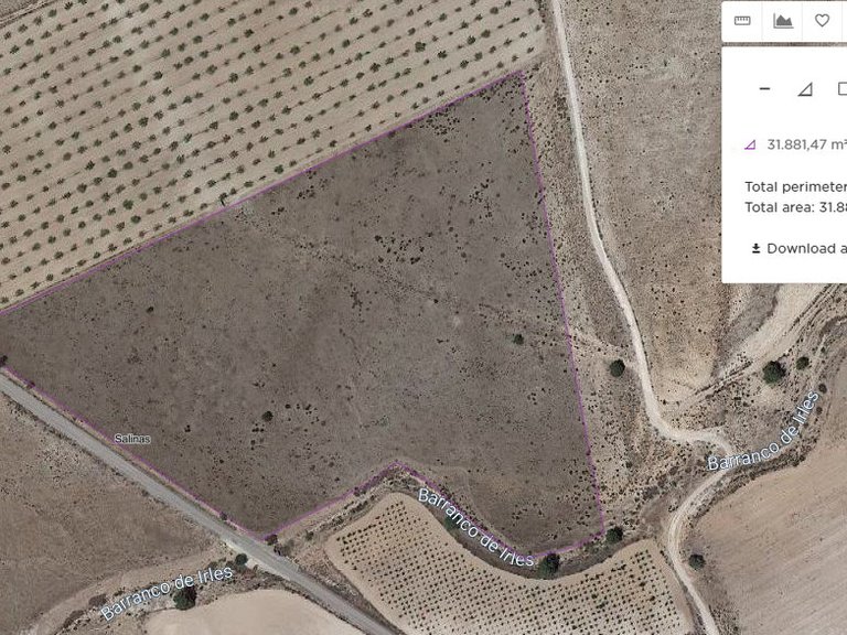 Plot for Sale in Salinas, Alicante 2