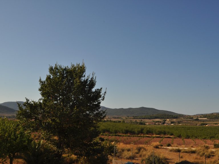 Country House for Sale in Pinoso, Alicante 34