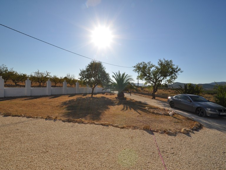 Country House for Sale in Inland Pinoso, Alicante 16