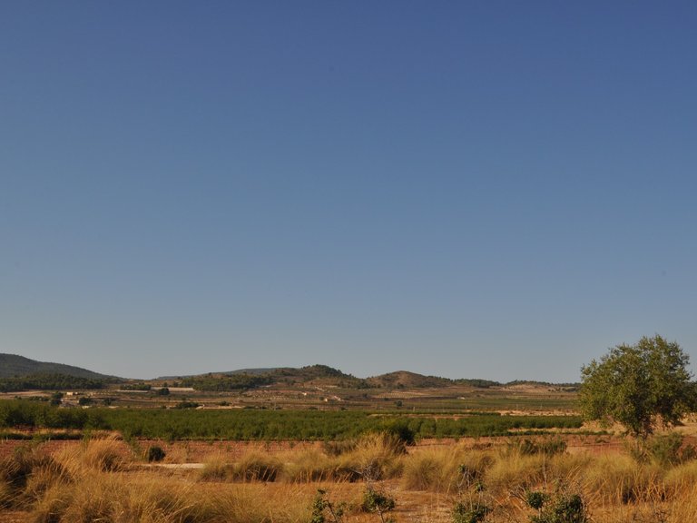 Country House for Sale in Inland Pinoso, Alicante 18