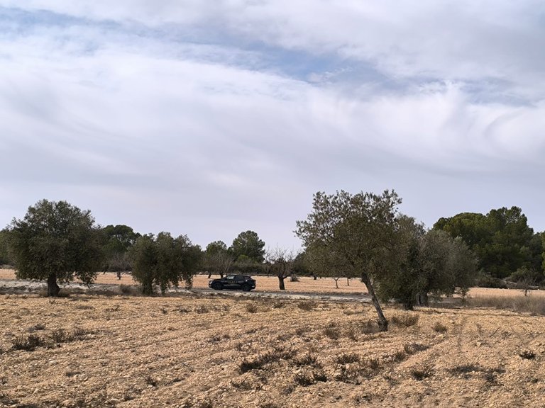 Villa for Sale in Monovar, Alicante 12