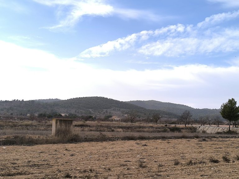 Villa for Sale in Monovar, Alicante 15