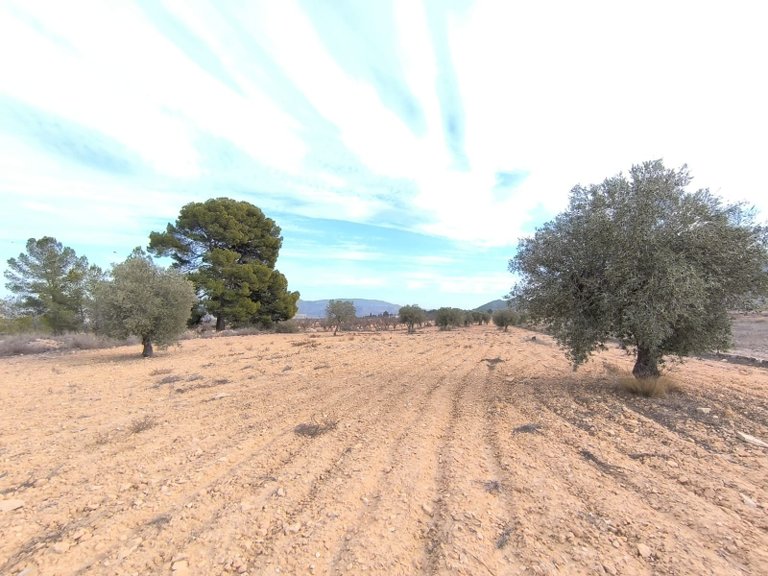 Villa for Sale in Monovar, Alicante 21